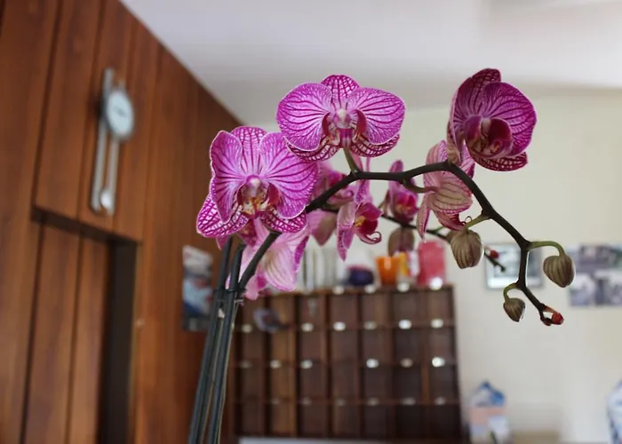 Unterburg Sankt Kanzian am Klopeiner See