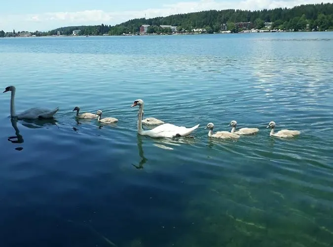 Unterburg Sankt Kanzian am Klopeiner See